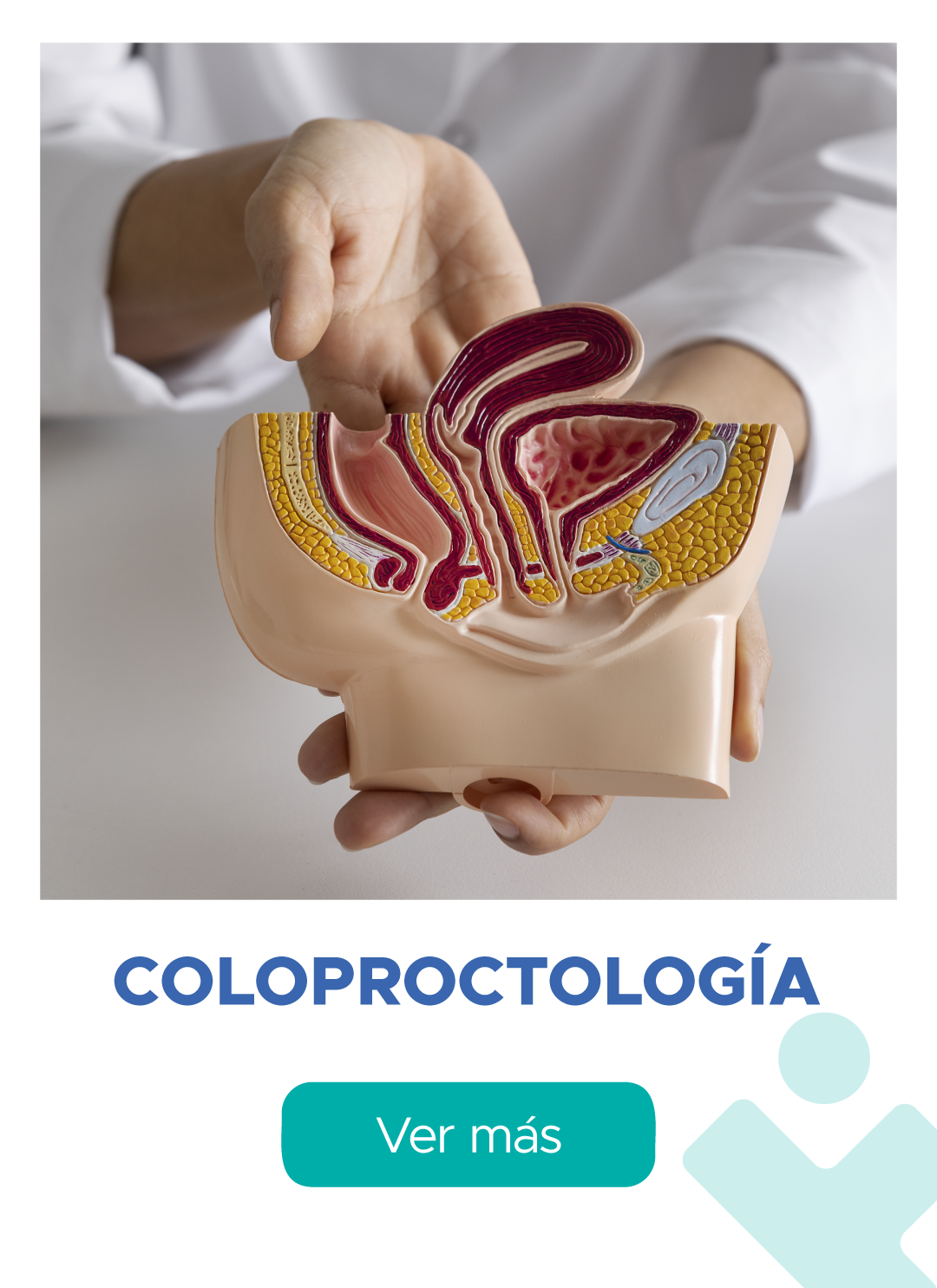 Coloproctología